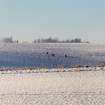 14 Person In Havndal-by Traum *